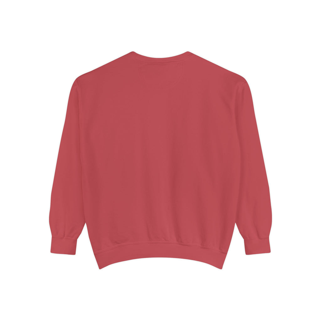 Party Like 1776 Sweatshirt — Vintage 4th of July Pullover