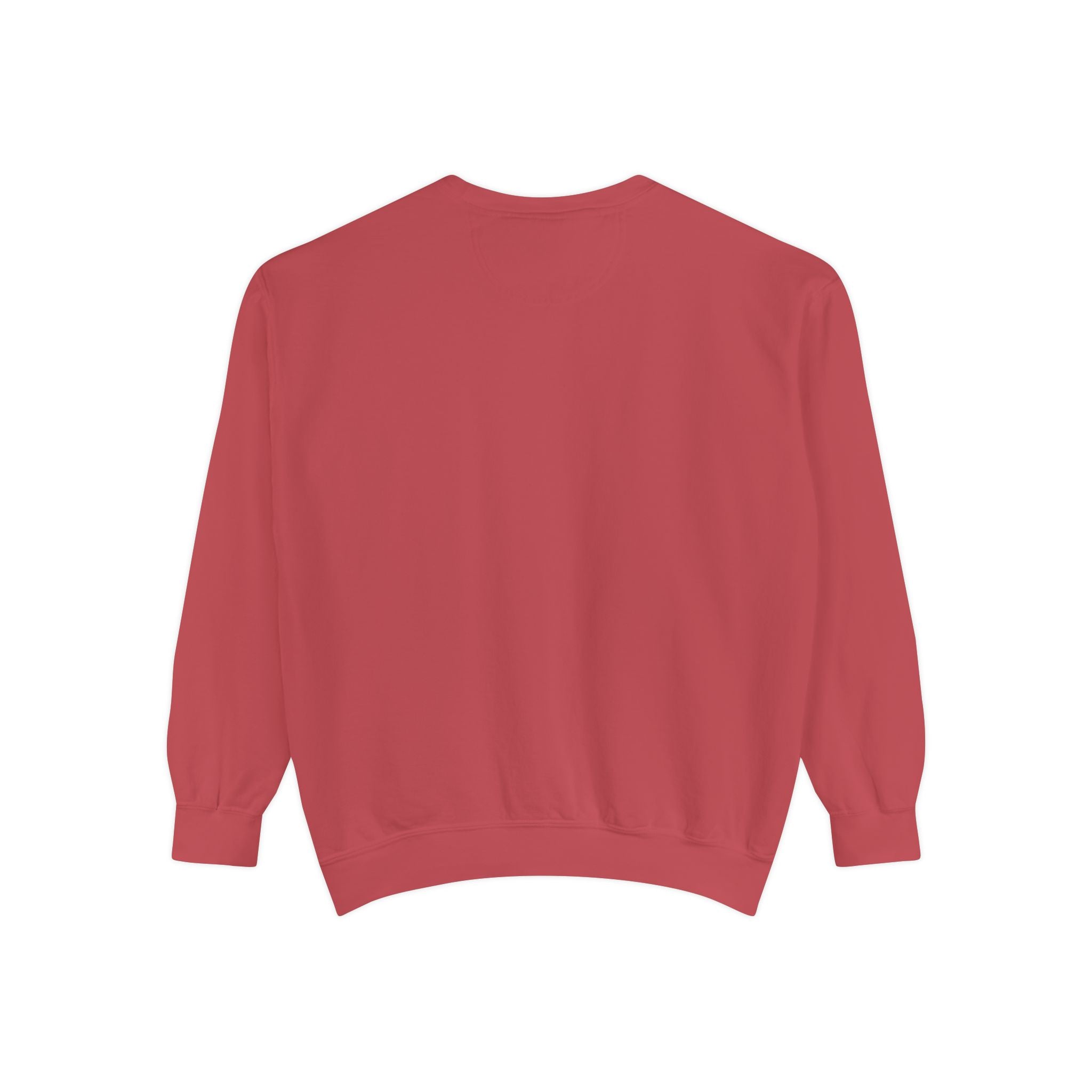 Party Like 1776 Sweatshirt — Vintage 4th of July Pullover