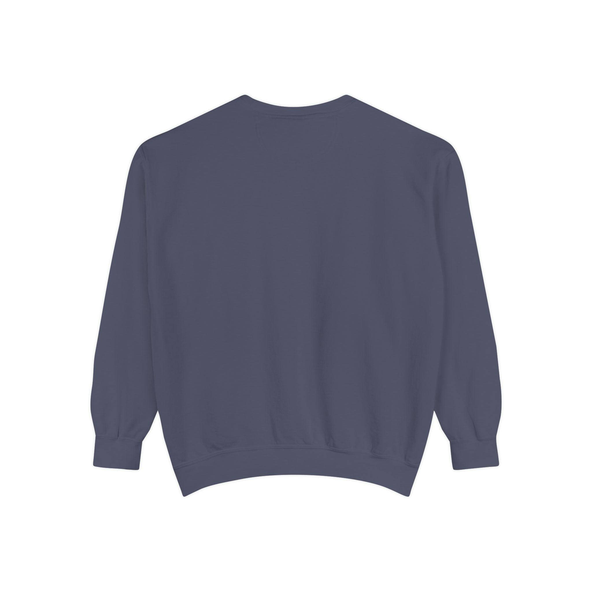 Party Like 1776 Sweatshirt — Vintage 4th of July Pullover