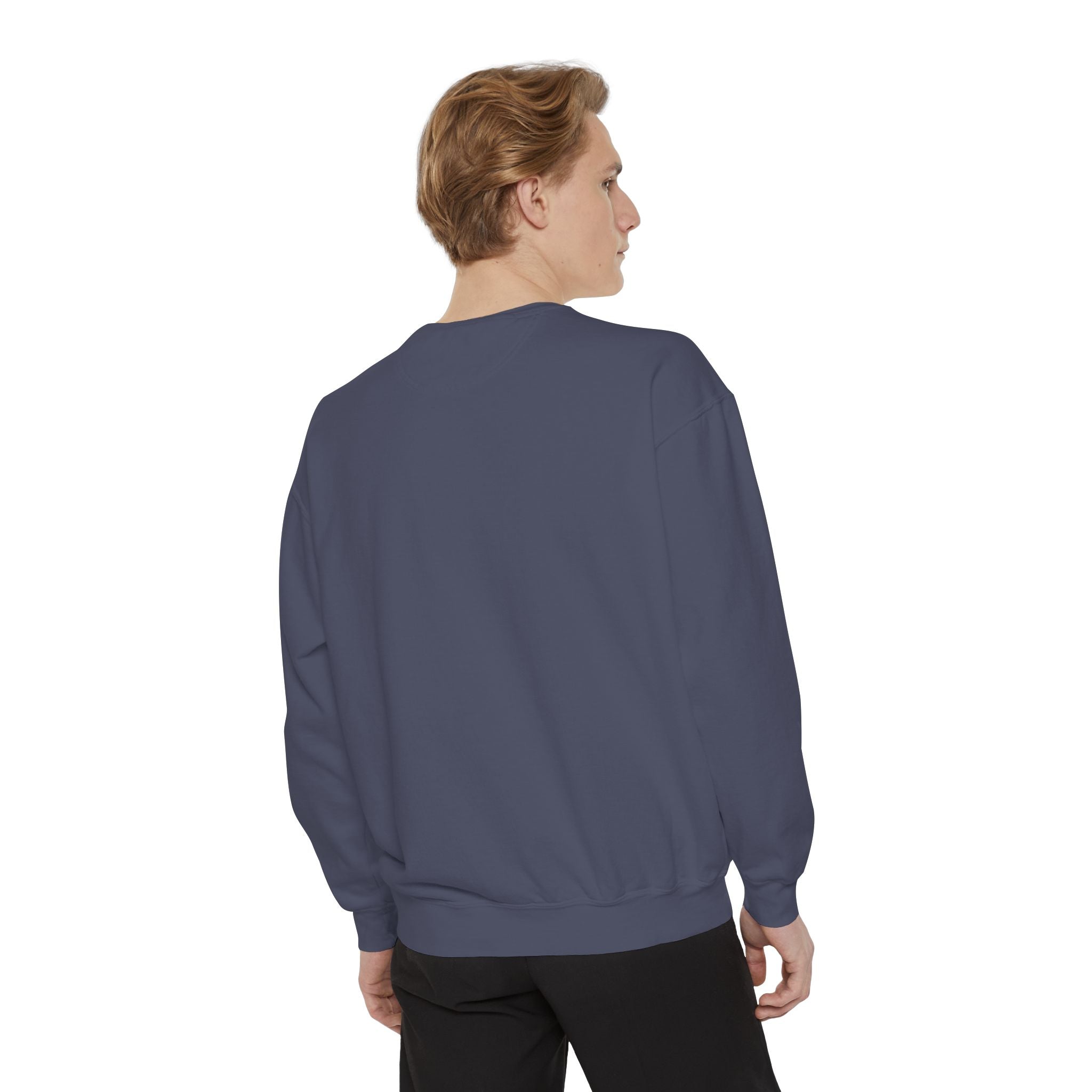 Party Like 1776 Sweatshirt — Vintage 4th of July Pullover