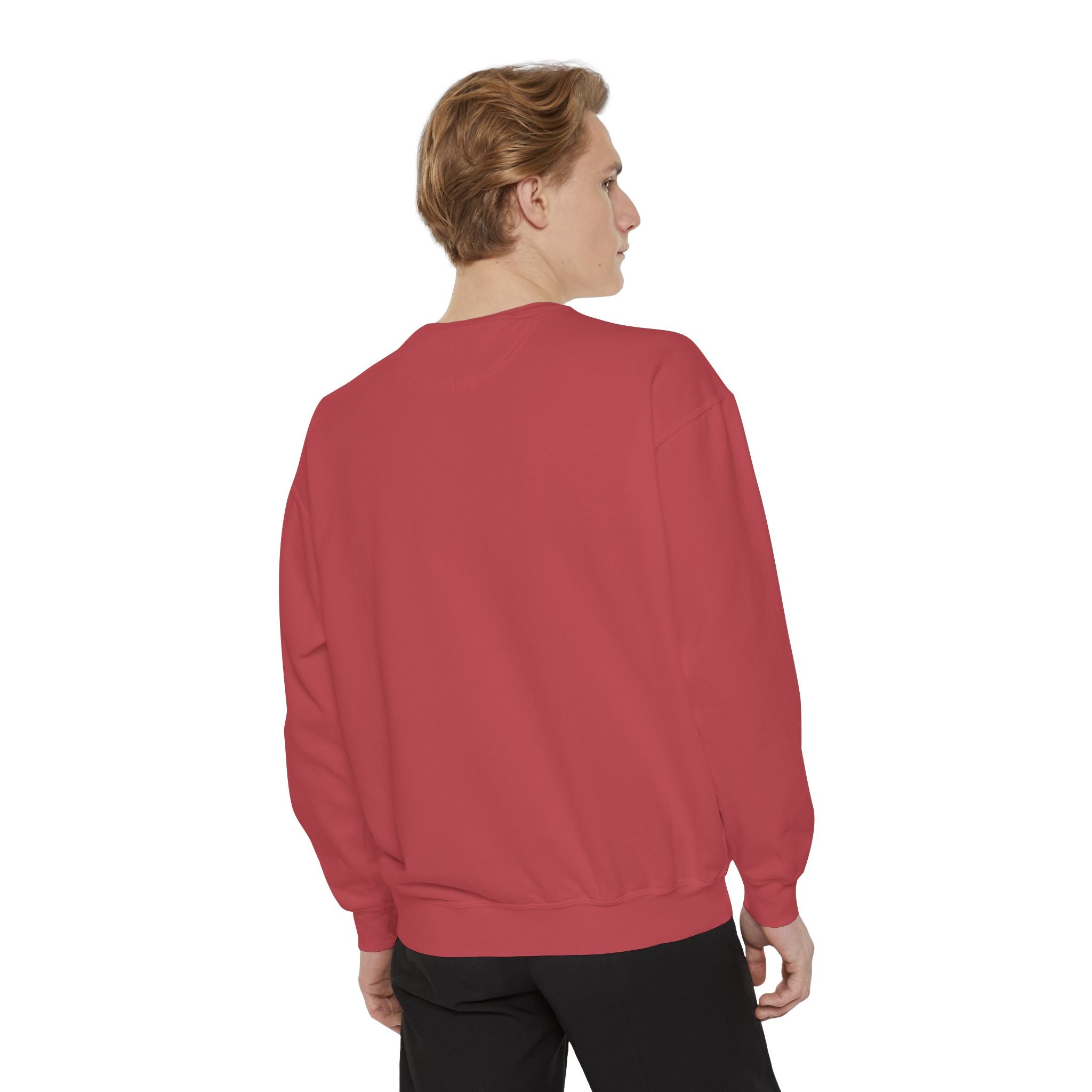 Party Like 1776 Sweatshirt — Vintage 4th of July Pullover